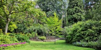 Rôle des Paysagistes en France pour Vos Travaux d’Aménagements Extérieurs Paysagistes en France