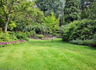 Rôle des Paysagistes en France pour Vos Travaux d’Aménagements Extérieurs Paysagistes en France