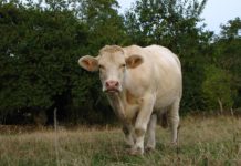 Le blog qui se soucie du climat : Une voix engagée pour la planète Le blog qui se soucie du climat : Une voix engagée pour la planète