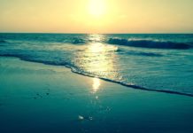 Nature et Environnement : Un Patrimoine Précieux à Préserver Nature et Environnement : Un Patrimoine Précieux à Préserver