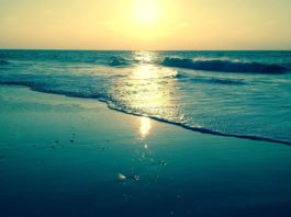 Nature et Environnement : Un Patrimoine Précieux à Préserver Nature et Environnement : Un Patrimoine Précieux à Préserver