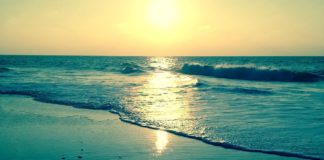 Nature et Environnement : Un Patrimoine Précieux à Préserver Nature et Environnement : Un Patrimoine Précieux à Préserver