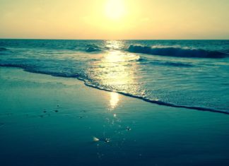 Nature et Environnement : Un Patrimoine Précieux à Préserver Nature et Environnement : Un Patrimoine Précieux à Préserver