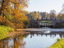 La Chapelle-Saint-Florent en Maine-et-Loire : Un village au cœur de l’histoire et de la nature La Chapelle-Saint-Florent en Maine-et-Loire : Un village au cœur de l’histoire et de la nature