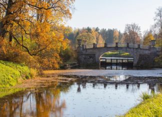 La Chapelle-Saint-Florent en Maine-et-Loire : Un village au cœur de l’histoire et de la nature La Chapelle-Saint-Florent en Maine-et-Loire : Un village au cœur de l’histoire et de la nature