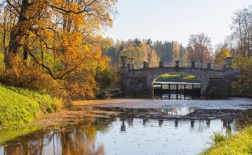 La Chapelle-Saint-Florent en Maine-et-Loire : Un village au cœur de l’histoire et de la nature La Chapelle-Saint-Florent en Maine-et-Loire : Un village au cœur de l’histoire et de la nature