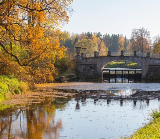 La Chapelle-Saint-Florent en Maine-et-Loire : Un village au cœur de l’histoire et de la nature La Chapelle-Saint-Florent en Maine-et-Loire : Un village au cœur de l’histoire et de la nature