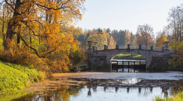 La Chapelle-Saint-Florent en Maine-et-Loire : Un village au cœur de l’histoire et de la nature La Chapelle-Saint-Florent en Maine-et-Loire : Un village au cœur de l’histoire et de la nature