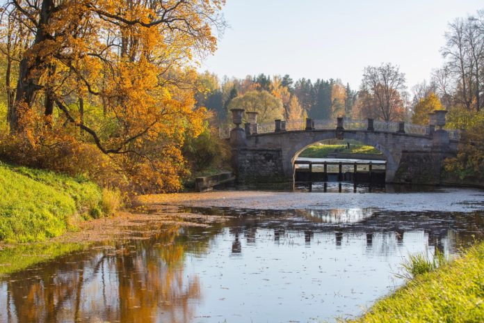 La Chapelle-Saint-Florent en Maine-et-Loire : Un village au cœur de l’histoire et de la nature