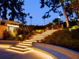 Blog pour les passionnés du jardin : cultivez vos idées et partagez votre passion verte Blog pour les passionnés du jardin : cultivez vos idées et partagez votre passion verte