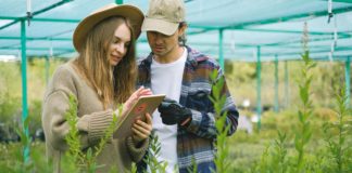 Une Cascade d’Informations sur le Web : Comment S’orienter dans l’Océan Numérique Une Cascade d'Informations sur le Web : Comment S’orienter dans l’Océan Numérique
