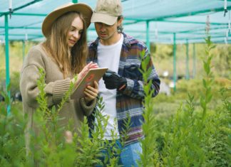 Une Cascade d’Informations sur le Web : Comment S’orienter dans l’Océan Numérique Une Cascade d'Informations sur le Web : Comment S’orienter dans l’Océan Numérique