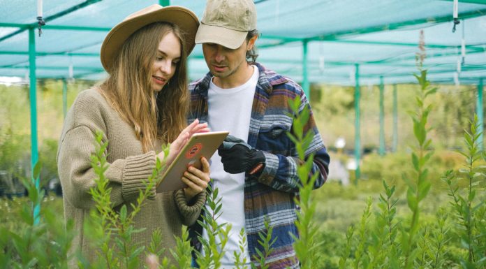 Une Cascade d’Informations sur le Web : Comment S’orienter dans l’Océan Numérique Une Cascade d'Informations sur le Web : Comment S’orienter dans l’Océan Numérique