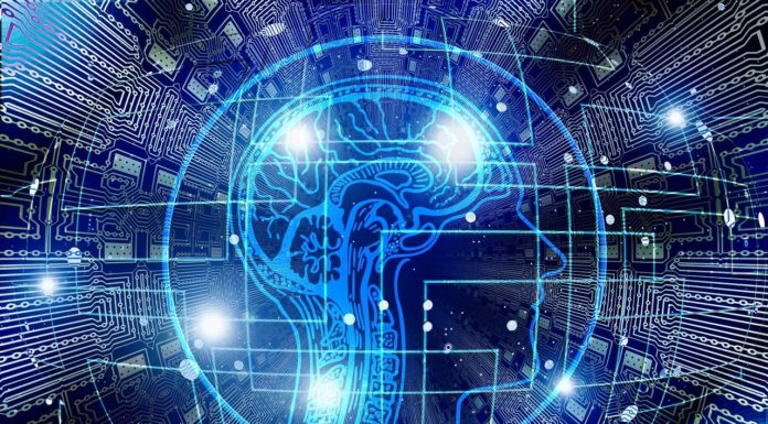 Le Repère de l’Information et du SEO Google-Friendly : Bâtir Votre Présence Digitale Le Repère de l'Information et du SEO Google-Friendly : Bâtir Votre Présence Digitale