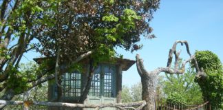 Villandraut en Gironde : un village chargé d’histoire au cœur du Sud-Ouest Villandraut en Gironde : un village chargé d’histoire au cœur du Sud-Ouest