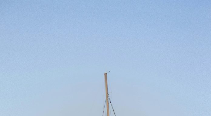 Vie à bord : à quoi ressemble une journée en croisière ? Conseils pratiques pour votre croisière